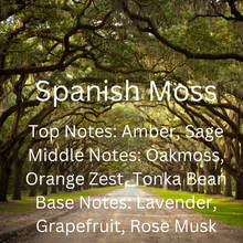 Load image into Gallery viewer, Spanish Moss
